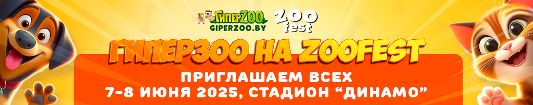 «ZOO FEST» — большой фестиваль для всех любителей домашних животных