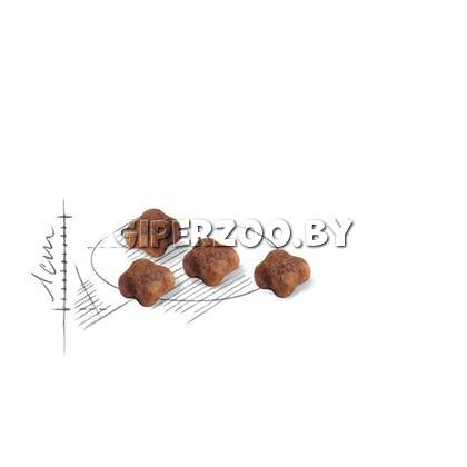 Royal Canin Mother&Babycat, 2 кг Royal Canin Mother&Babycat, 2 кг