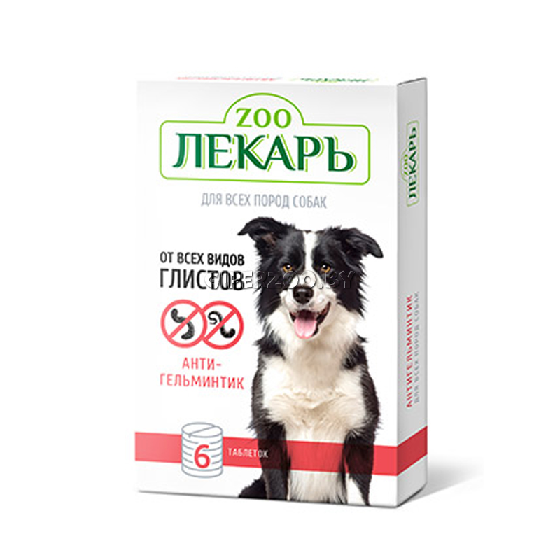 Зоофилка блог 