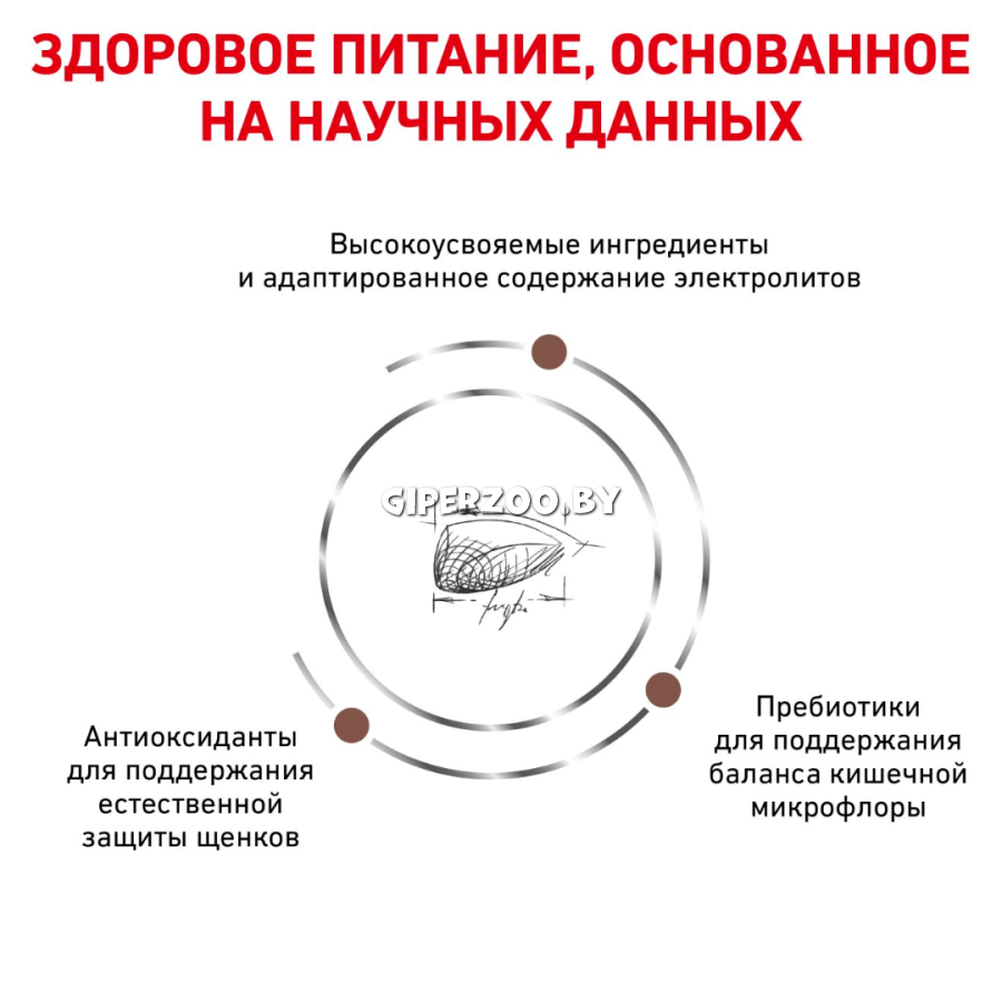 Royal Canin Gastrointestinal Puppy, 1кг Royal Canin Gastrointestinal Puppy, 1кг