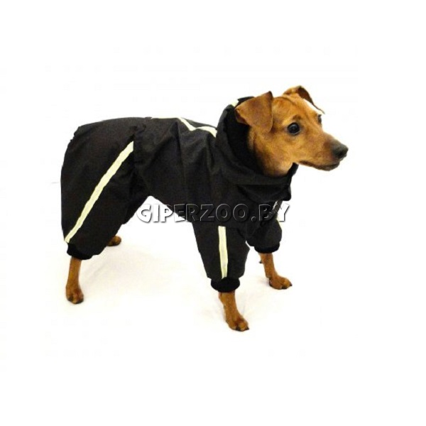 Дождевик для собаки CHAMPION GAVS L Дождевик для собаки CHAMPION GAVS L