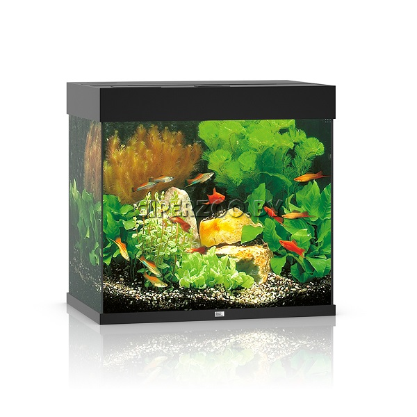 Аквариум Juwel укомплектованный Lido 200 LED, 200 л Аквариум Juwel укомплектованный Lido 200 LED, 200 л