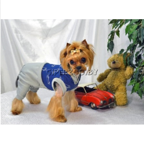 Костюм для собаки Prestige GAVS L Костюм для собаки Prestige GAVS L