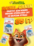 Royal Canin INDOOR STERILISED Cat (паштет), 85 гр