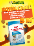 Royal Canin Starter mini, 3 кг