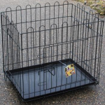 Клетка для собак Happy Pet хромированная 60*45*56 cм