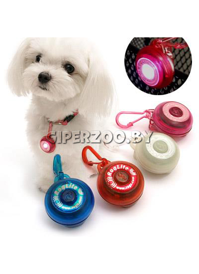 Светящаяся подвеска на ошейник RogLite Lampje Glow, 31 мм Светящаяся подвеска на ошейник RogLite Lampje Glow, 31 мм