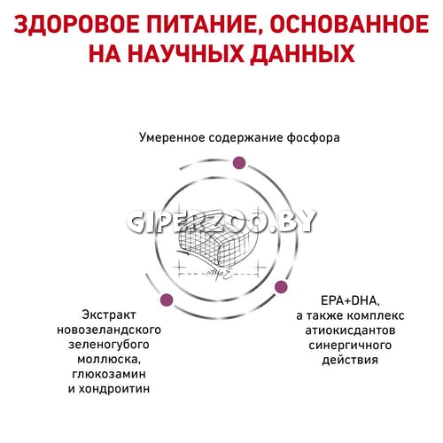 Royal Canin Early Renal Feline, 3,5 кг Royal Canin Early Renal Feline, 3,5 кг