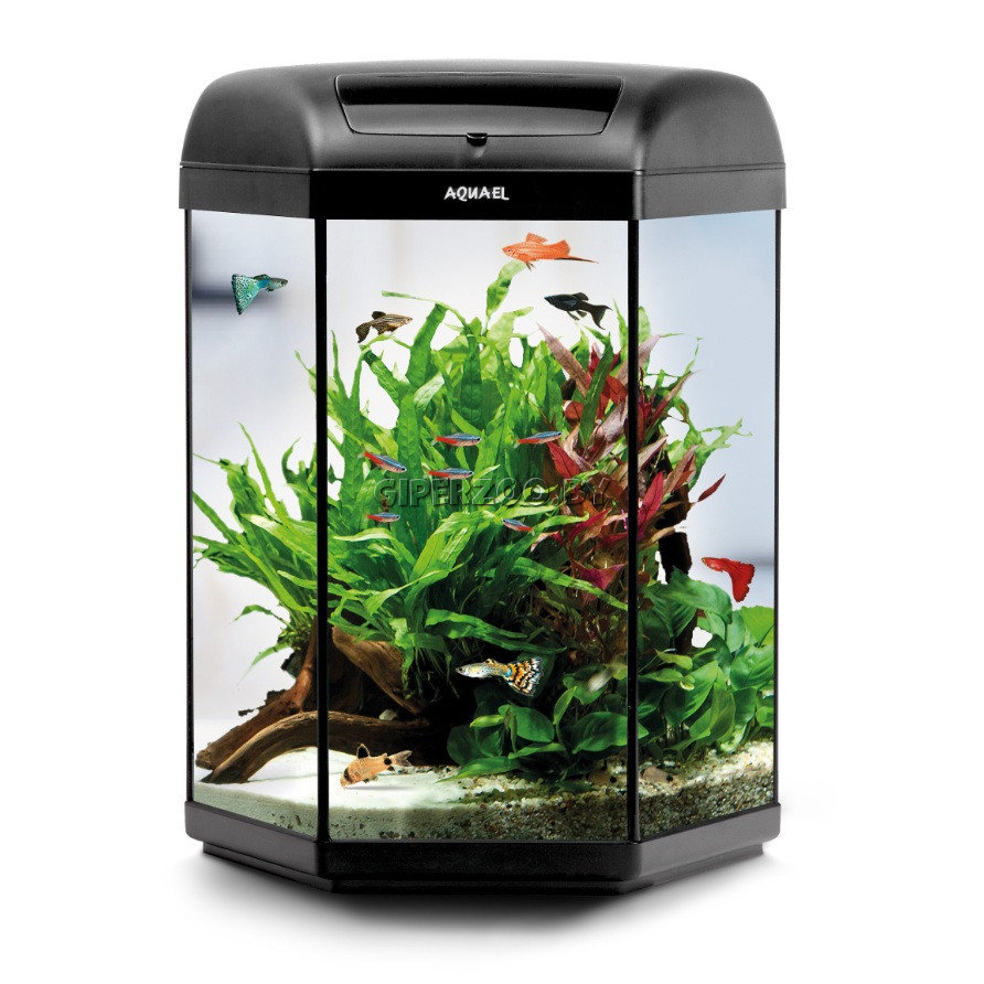 AQUAEL Аквариум AQUARIUM HEXASET II 20 л AQUAEL Аквариум AQUARIUM HEXASET II 20 л