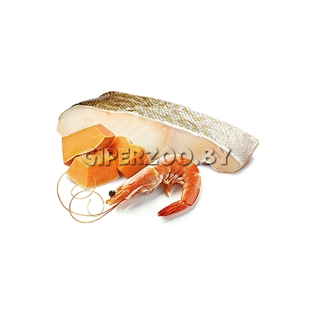 N&D Grain Free Ocean Cat Cod, Shrimp & Pumpkin Kitten (треска, креветки, тыква), 80 гр N&D Grain Free Ocean Cat Cod, Shrimp & Pumpkin Kitten (треска, креветки, тыква), 80 гр