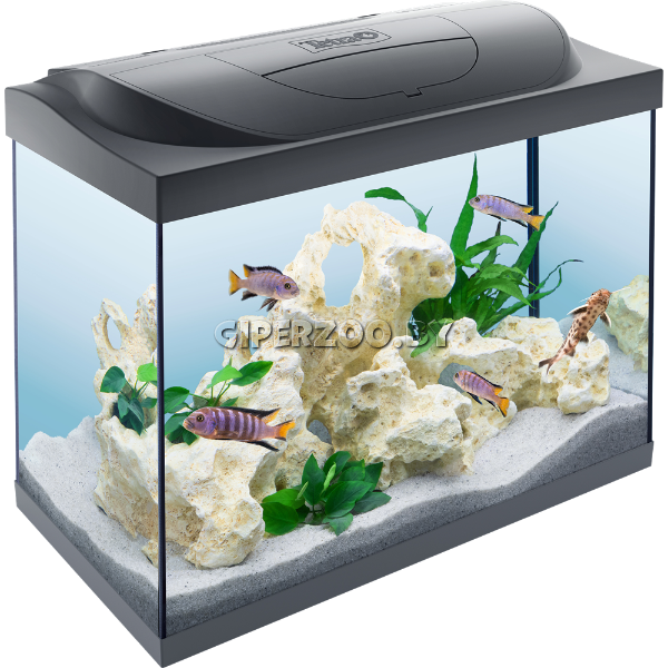 Tetra Starter Line Tank LED black Аквариумный комплект, 80 л Tetra Starter Line Tank LED black Аквариумный комплект, 80 л