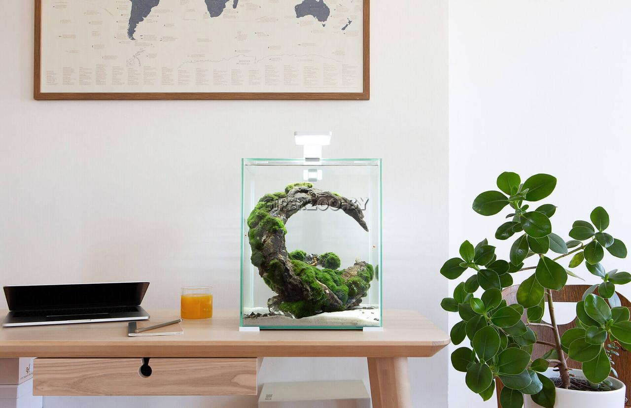 Аквариум Aquael Shrimp Set Smart Day&Night белый, 19 л Аквариум Aquael Shrimp Set Smart Day&Night белый, 19 л