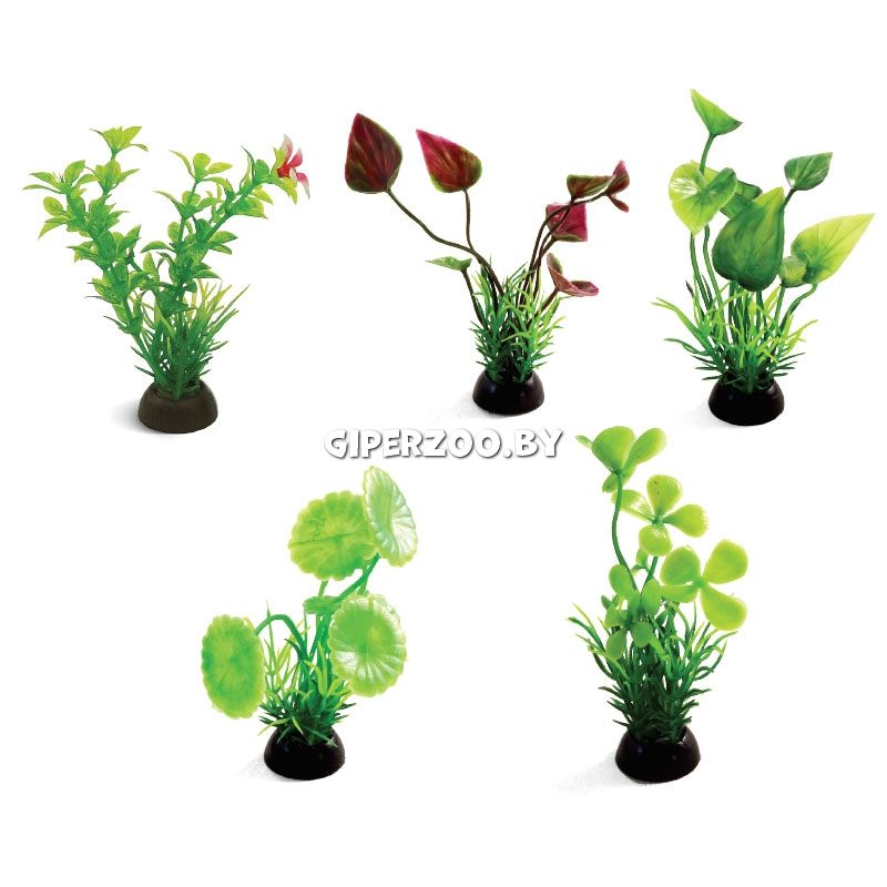 Растетрия для аквариума, 5 шт, 8 см Растетрия для аквариума, 5 шт, 8 см