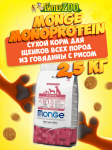 Monge Puppy Junior All Breeds dog (говядина, рис), 2,5 кг