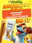 Лакомство для собак Balu Dental с кальцием и фосфором, 36 гр
