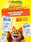 Monge Cat Mono Paté Kitten (паштет, форель), 85 гр