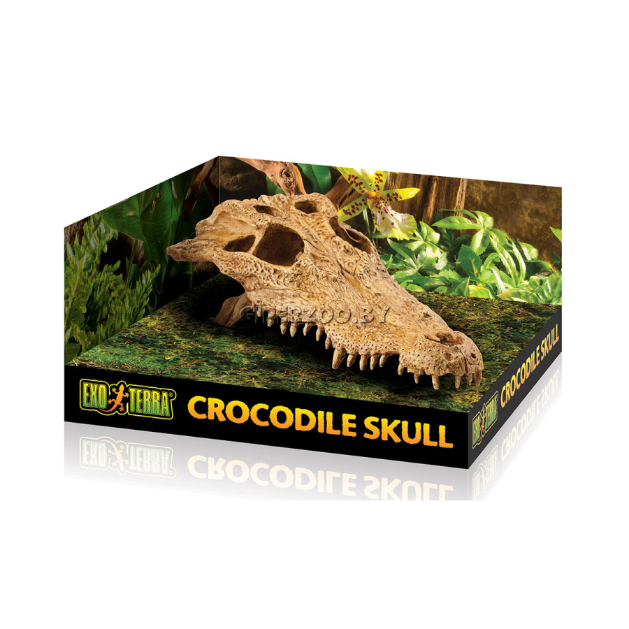 Убежище-декор  Exo Terra Череп крокодила, 23х12х7.5 см Убежище-декор  Exo Terra Череп крокодила, 23х12х7.5 см