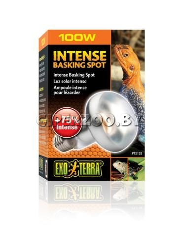 Exo Terra Intense basking spot Лампа для баскинга, 100 Вт Exo Terra Intense basking spot Лампа для баскинга, 100 Вт