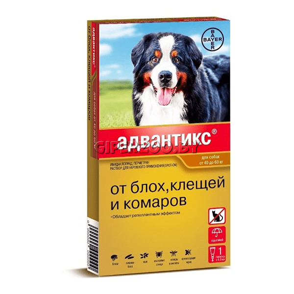 Bayer Адвантикс капли на холку для собак 40-60 кг, 1 пип 6 мл Bayer Адвантикс капли на холку для собак 40-60 кг, 1 пип 6 мл