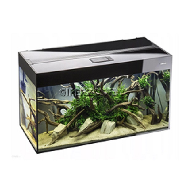 Aquael Аквариум Glossy 80 черный, освещение D&N, 80x35x50 см., прямоугольный, 125 л. Aquael Аквариум Glossy 80 черный, освещение D&N, 80x35x50 см., прямоугольный, 125 л.