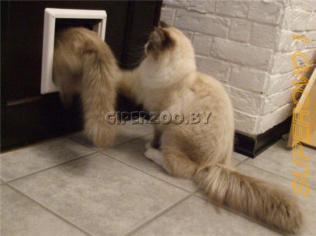 Откидная дверца Trixie серая,  XS-S Откидная дверца Trixie серая,  XS-S