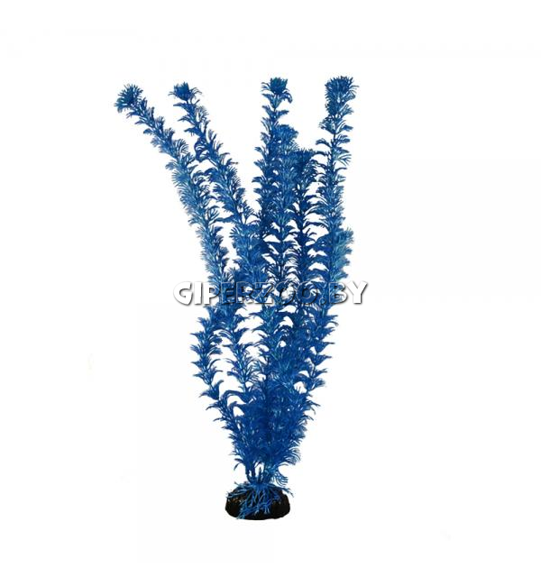 Декорация для аквариума Barbus Кабомба синий металлик, 30 см Декорация для аквариума Barbus Кабомба синий металлик, 30 см