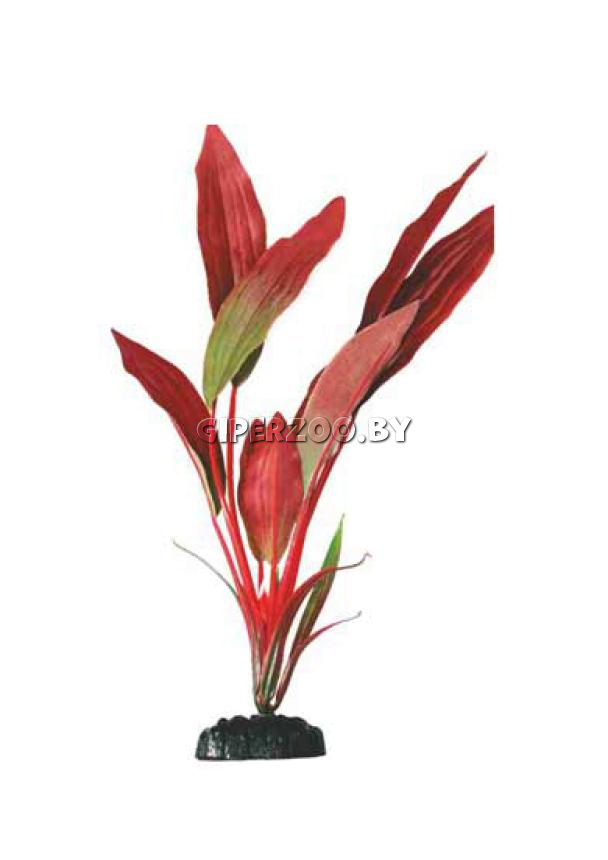 Barbus Шелковое растение Криптокорина красная, 20 см Barbus Шелковое растение Криптокорина красная, 20 см