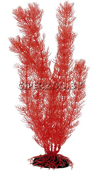 Декорация для аквариума Barbus Амбулия красная, 30 см Декорация для аквариума Barbus Амбулия красная, 30 см