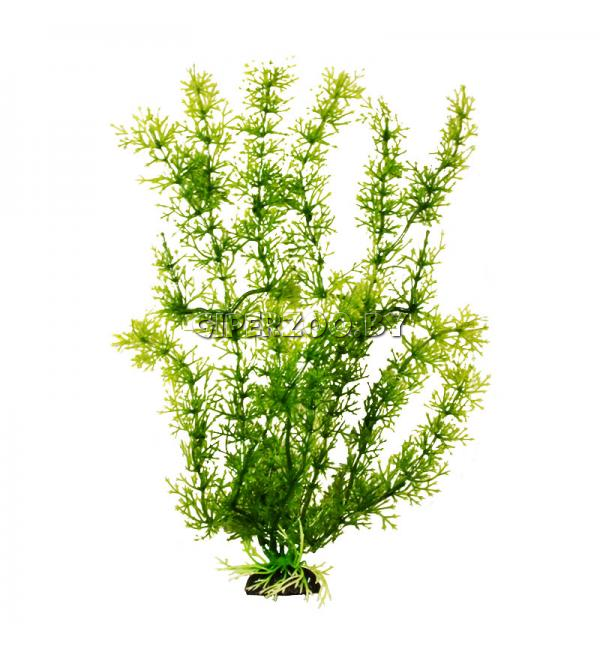 Декорация для аквариума Barbus Яванский мох зеленый, 30 см Декорация для аквариума Barbus Яванский мох зеленый, 30 см