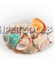 Набор морских раковин в сеточке Фрукты моря Микс, 200 г Набор морских раковин в сеточке Фрукты моря Микс, 200 г