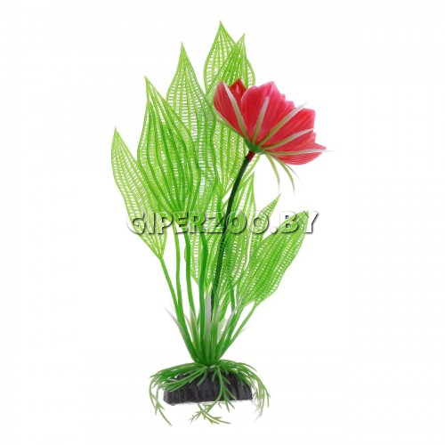 Пластиковое растение Апоногетон Мадагаскарский с цветком, 50см Пластиковое растение Апоногетон Мадагаскарский с цветком, 50см