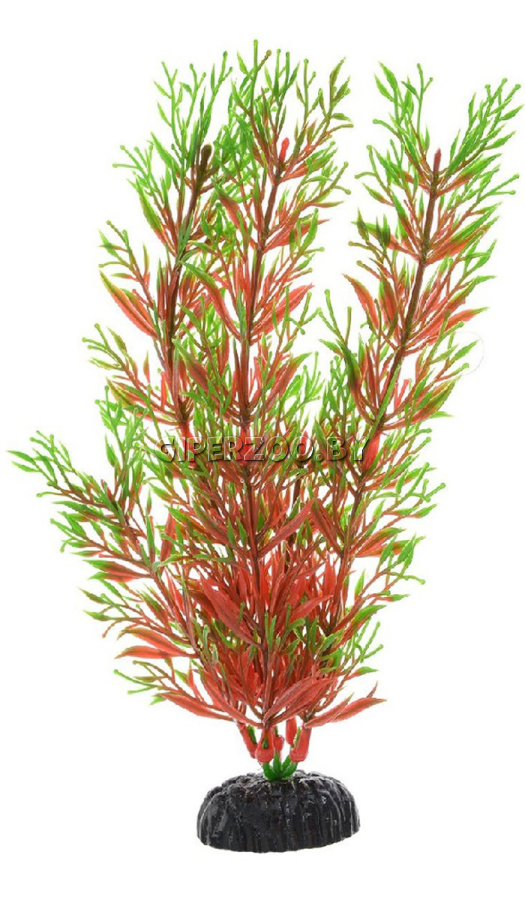 Пластиковое растение Перестолистник красный, 20см Пластиковое растение Перестолистник красный, 20см