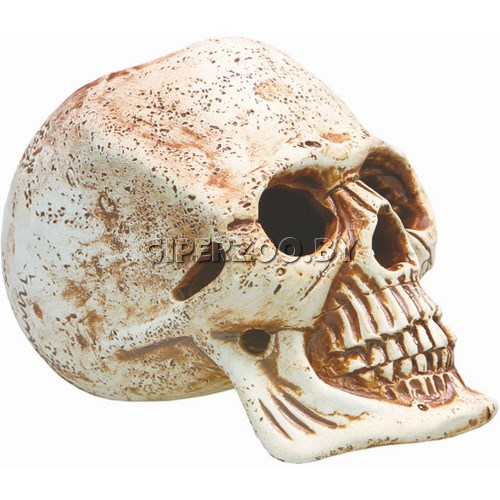Декорация для аквариума Череп, 13,5*12 см Декорация для аквариума Череп, 13,5*12 см