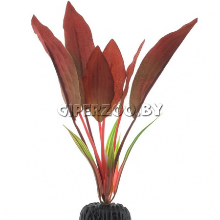 Шелковое растение Криптокорина красная 20см Шелковое растение Криптокорина красная 20см