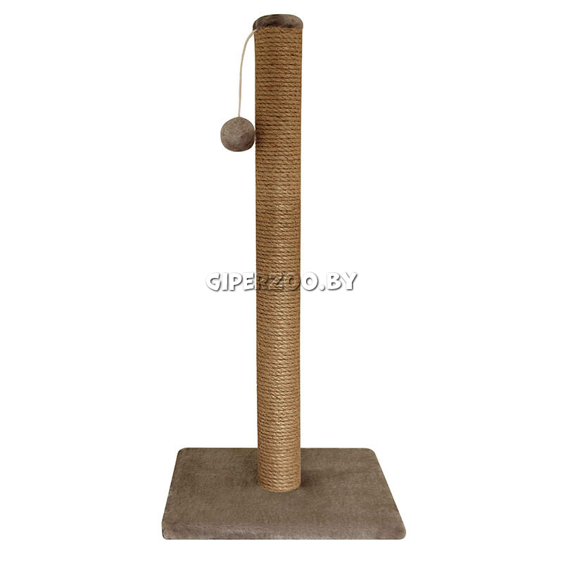 Когтеточка  Когтеточка