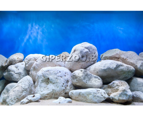 Фон двухсторонний ВОДНЫЙ САД/ЯРКИЕ КАМНИ, 60*124см Фон двухсторонний ВОДНЫЙ САД/ЯРКИЕ КАМНИ, 60*124см