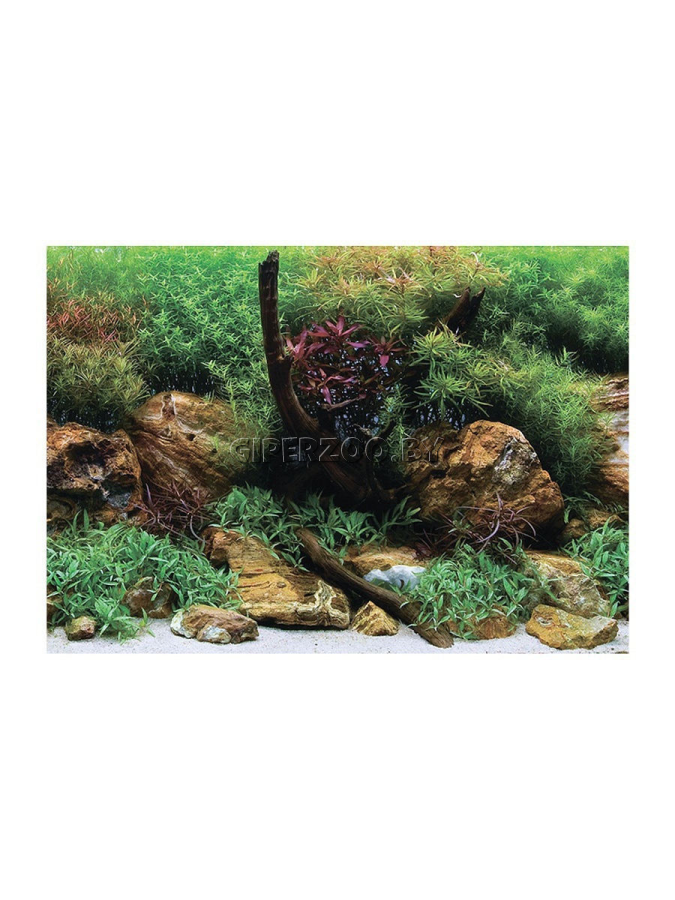 Фон двухсторонний ВОДНЫЙ САД/ЯРКИЕ КАМНИ, 60*124см Фон двухсторонний ВОДНЫЙ САД/ЯРКИЕ КАМНИ, 60*124см