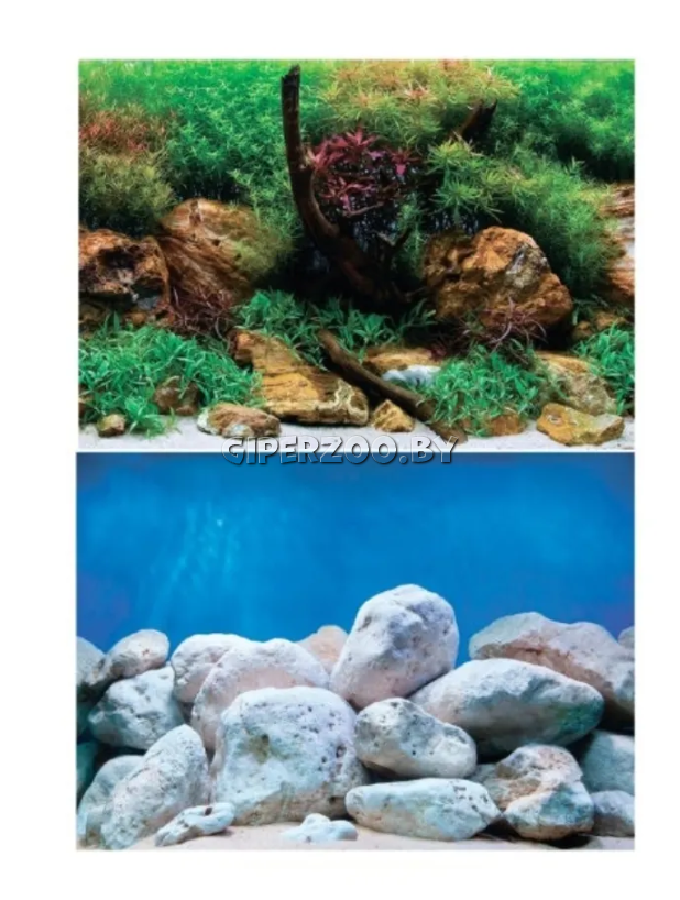 Фон двухсторонний ВОДНЫЙ САД/ЯРКИЕ КАМНИ, 60*124см Фон двухсторонний ВОДНЫЙ САД/ЯРКИЕ КАМНИ, 60*124см
