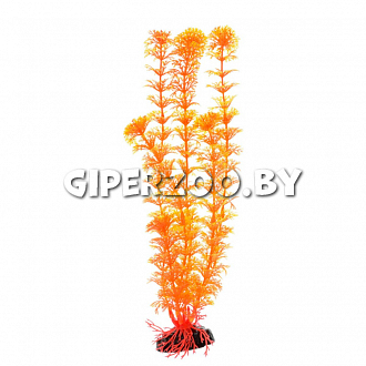 Декорация для аквариума Barbus Кабомба оранжевая, 30 см Декорация для аквариума Barbus Кабомба оранжевая, 30 см