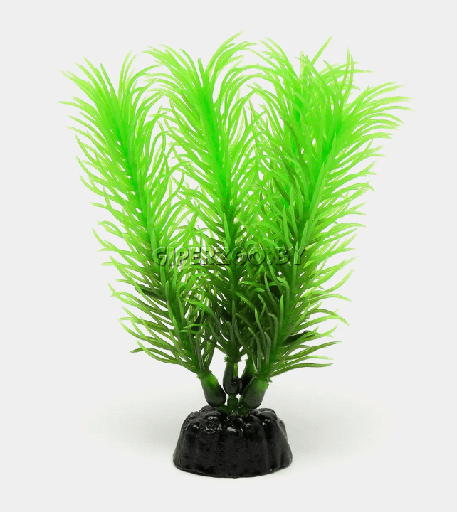 Пластиковое растение Перестолистник зеленый, 50см Пластиковое растение Перестолистник зеленый, 50см