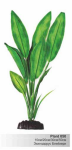 Шелковое растение ЭХИНОДОРУС БЛЕЙХЕРИ зеленый в блистере,10см