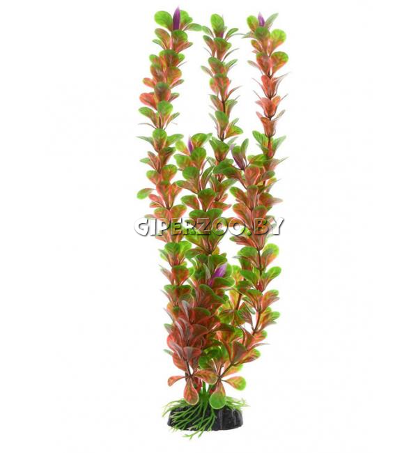 Декорация для аквариума Barbus Людвигия ползучая красная,50 см Декорация для аквариума Barbus Людвигия ползучая красная,50 см
