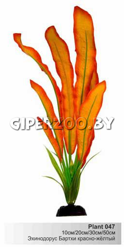 Barbus Шелковое растение Эхинодорус бархатный красно-желтый, 10 см Barbus Шелковое растение Эхинодорус бархатный красно-желтый, 10 см