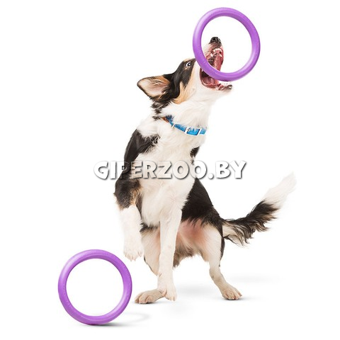 Игрушка CoLLaR  для собак PULLER Midi, 20 см Игрушка CoLLaR  для собак PULLER Midi, 20 см