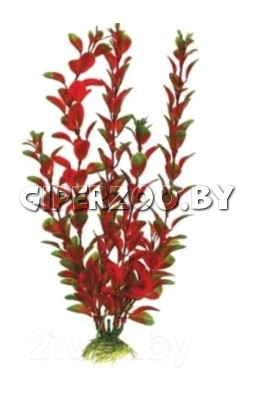 Декорация для аквариума Barbus Людвигия красная, 20 см Декорация для аквариума Barbus Людвигия красная, 20 см