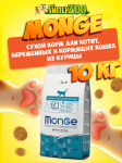 Monge Kitten (цыпленок),10 кг