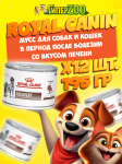 Royal Canin RECOVERY (мусс), 195 гр*12шт