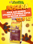 Josera Kids Junior Medium/Maxi (птица), 12,5 кг