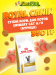 Royal Canin Urinary Cat S/O, 350 гр