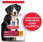 Hills Science Plan Adult Large (курица), 14 кг